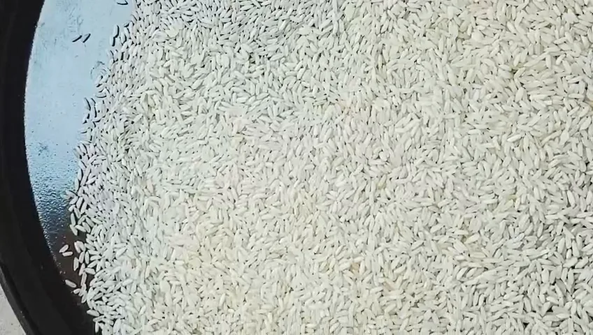 Close-up of uniform, Sortex-cleaned Sona Masoori rice grains spread on a tray